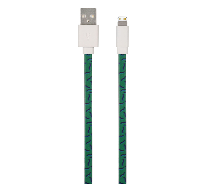Print MFi Cable